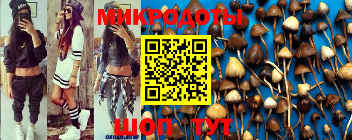 Галлюциногенные грибы Magic Shrooms Приморско-Ахтарск