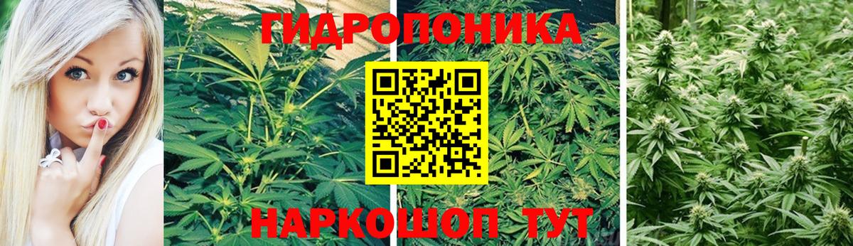 Каннабис план  Конопля LSD WEED  Вход с VPN  Приморско-Ахтарск  Шишки марихуана конопля 